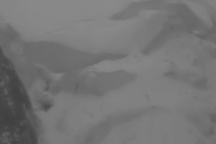 Sequence 14.00_07_20_17.Still006