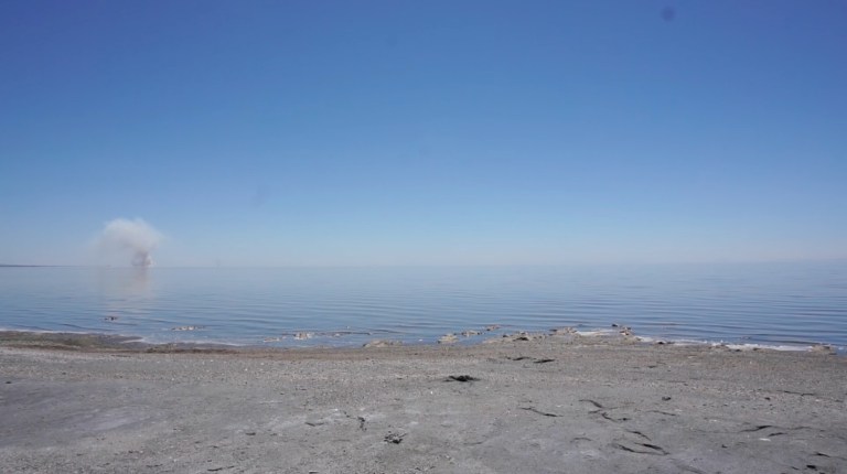 STILL MOTION VANDERSCHUIT